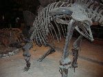 040_2009-0119-1130-06.jpg